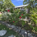 糸満漁民食堂 - 