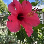 糸満漁民食堂 - 