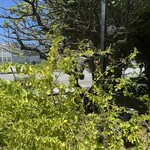 糸満漁民食堂 - 