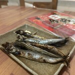 全席個室居酒屋 国産和牛肉寿司と海鮮 とろけ酒場 - 