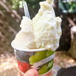 Gelateria Frutti - 