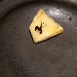 神保町 傳 - 【14年9月】ブラジルの蟻！！ギミックかと思ったらアマゾンで獲れた本物とのこと！少しハーブの香りがしました。。