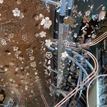 スターバックス リザーブ ロースタリー トウキョウ - 