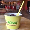 Sweet Kiwi Frozen Yogurt  - 料理写真: