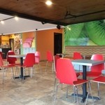 Sweet Kiwi Frozen Yogurt  - 