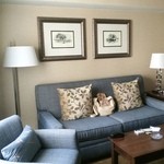 Homewood Suites by Hilton Hartford/Windsor Locks - 