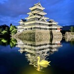 居酒屋 一歩 - ライトアップされた松本城に白鳥