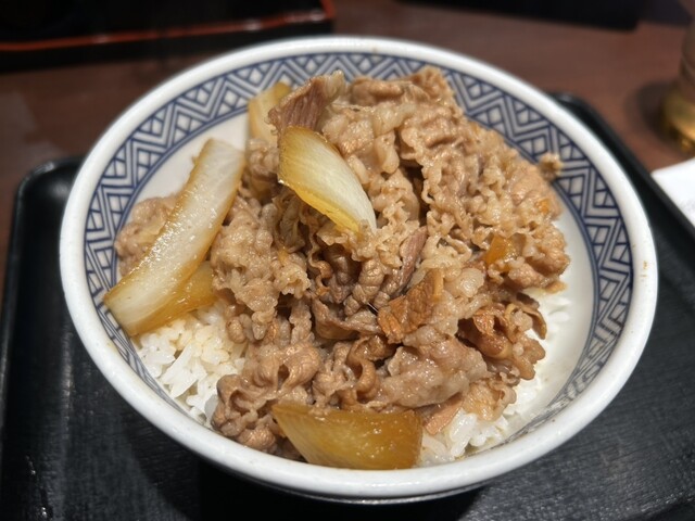 Yoshinoya Akihabara Chuo Dori Ten