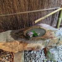 夏下冬上 - 