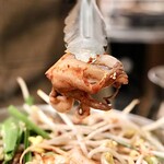 シガン 生サムギョプサル専門店 - チュクミ生サムギョプサル２人前