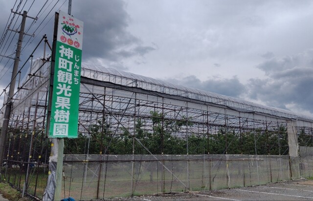 神町観光果樹園 - 神町（その他）の写真