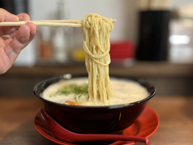 Menya Torihisa photo 4