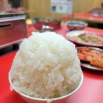 焼肉 藤もと 大吉商店 - 