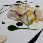 306125675 - イカ墨とプルポ青いユリ科のエッセンス