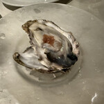 ワイン食堂　トランク　イタリアゴハン - 