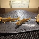 レストラン バカール - 