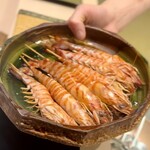 鮨 竜太 - 車海老