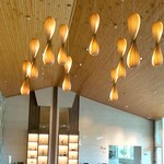 プリムローズ - 