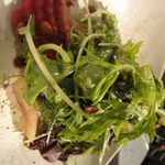 SALT - bar & kitchen - 