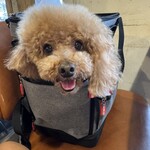 anea cafe 中野新橋店 - めっちゃ嬉しそう♪