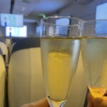 ファースト・エアラインズ - 