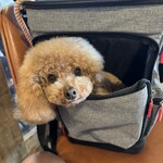 anea cafe - 来て良かったねｗ