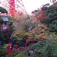 東京 芝 とうふ屋うかい - 