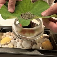 六花 - 
