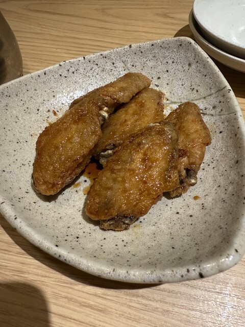 Sagami Kawana photo 5