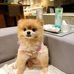 Regina Resort Karuizawa Mikage Yosui