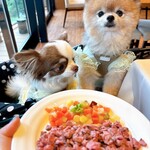 レジーナリゾート軽井沢 御影用水 - 