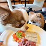 Regina Resort Karuizawa Mikage Yosui