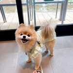 Regina Resort Karuizawa Mikage Yosui