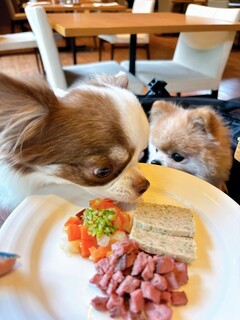 Regina Resort Karuizawa Mikage Yosui