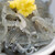 なる浜 - 料理写真: