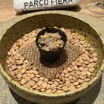 パルコ フィエラ - 