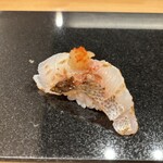 鮨と天草大王 天音 - イサキ