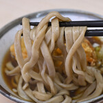 そばうどん 立ち喰い雑賀屋 - 鶏天太麺そば＠税込570円