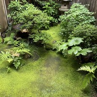 飯田 - 緑が美しい庭