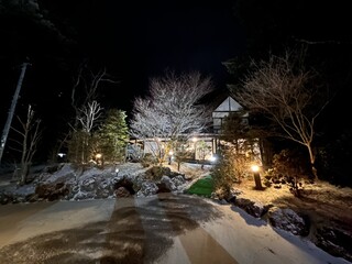 Seikou En Karuizawa Ten