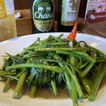 ブルーパパイアタイランド - 