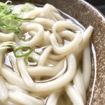 こがね製麺所 - もちもち食感のうまい麺、
出汁も安定感抜群の味！