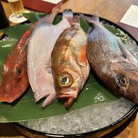 泉岳寺門前 紋屋 - 