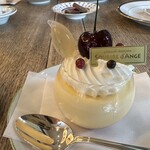 スーリール ダンジュ - 