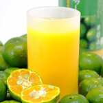 創作居酒屋 樹 - 