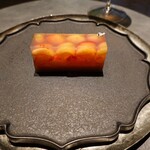 VERT - ナポレオンフィッシュ