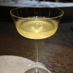 VERT - 北命　オリーブ葉