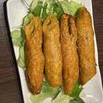 아피 다이닝 - 시크 카바브