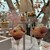 HAUTE COUTURE CAFE OMOTESANDO - 料理写真: