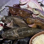 ボガマリ・クチーナ・メディテラーネア - 